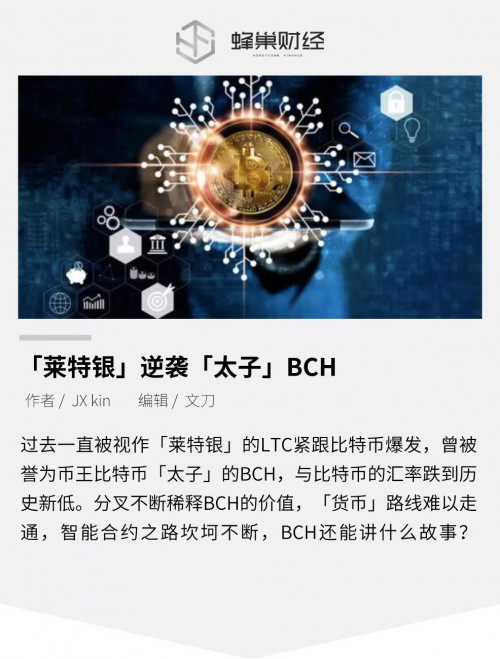 币世界-市值被“莱特银”反超，“太子”BCH还能讲什么故事？